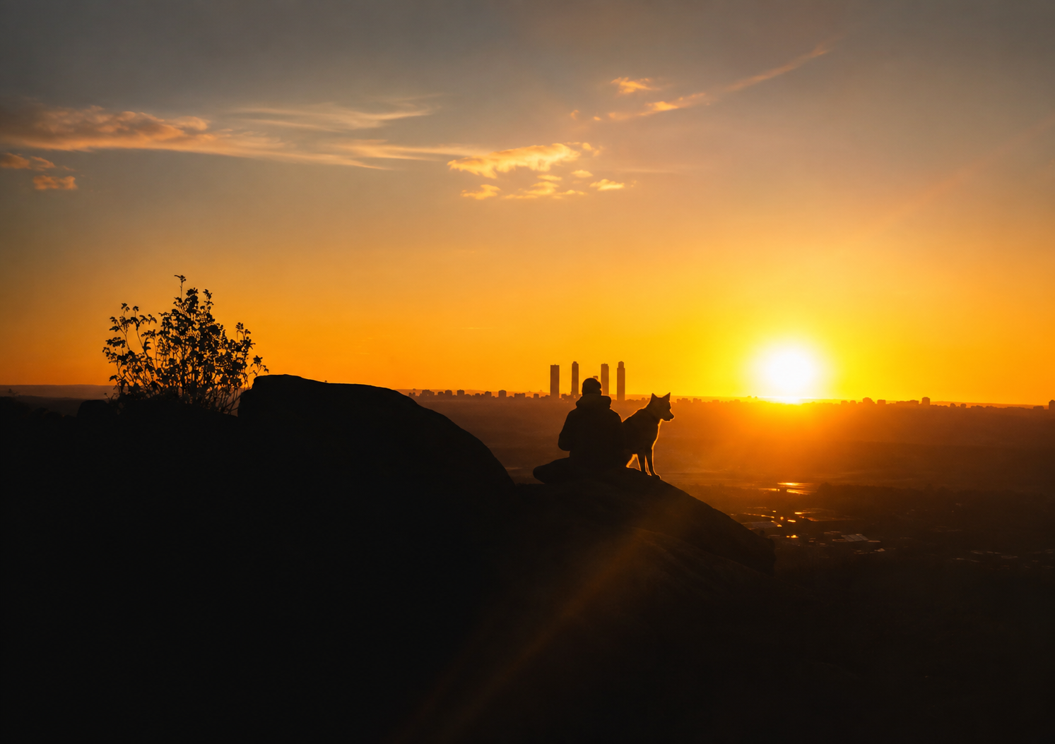 Silueta de una persona con un perro al atardecer, con la ciudad al fondo